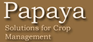Papaya crop